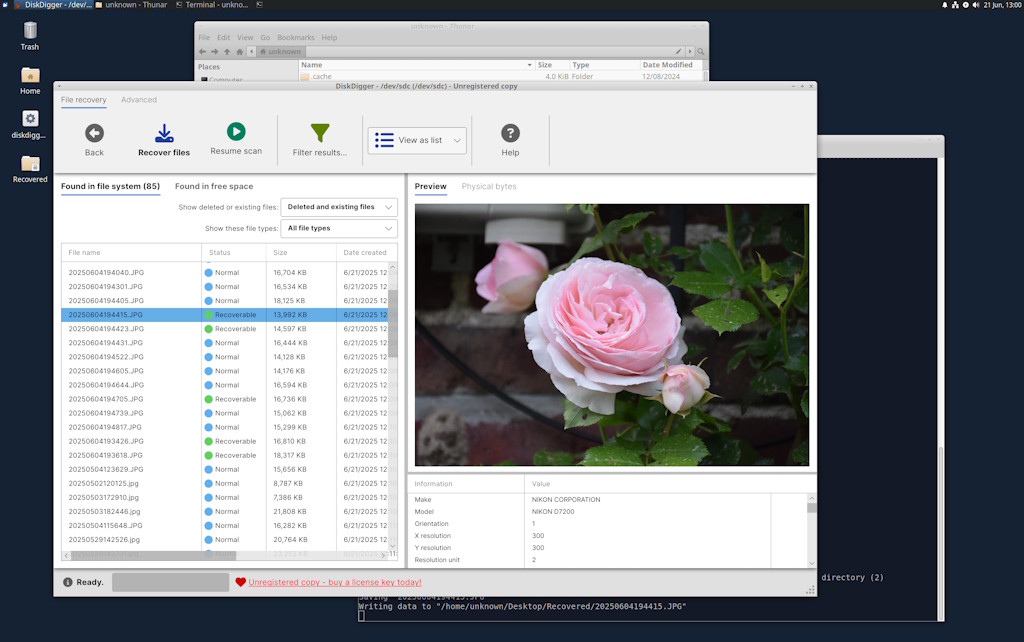 DiskDigger 在 Xubuntu 上运行